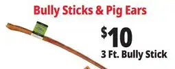 Ocean State Job Lot 3 Ft. Bully Stick offer
