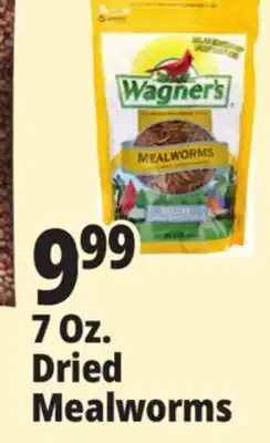 Ocean State Job Lot Wagner's Bird Meal Worms offer