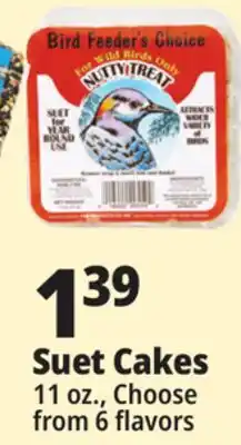 Ocean State Job Lot Bird Feeder's Choice High Energy Suet 11 oz offer