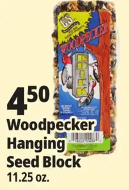 Ocean State Job Lot C&S Woodpecker Brick 11.25 oz offer