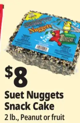 Ocean State Job Lot Suet Nuggets Snack Cake offer