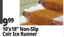 Ocean State Job Lot 10'x18 Non-Slip Coir Ice Runner offer