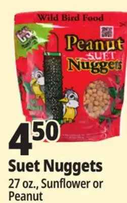 Ocean State Job Lot C&S Sunflower Suet Nuggets 27 oz offer