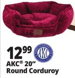 Ocean State Job Lot AKC 20 Round Corduroy offer