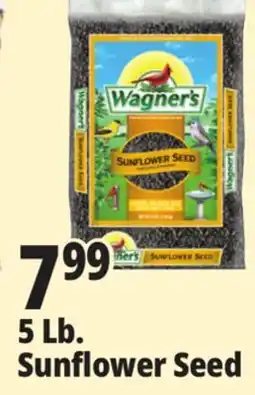 Ocean State Job Lot Wagner's Black Oil Sunflower Seed Wild Bird Food 5 lbs offer