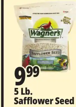 Ocean State Job Lot Wagner's Safflower Seed Deluxe Wild Bird Food offer