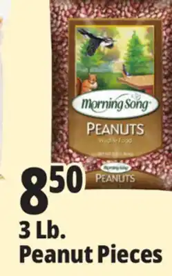 Ocean State Job Lot Morning Song Wildlife Food Peanuts 3 lbs offer