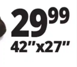 Ocean State Job Lot 42x27 AKC Orthopedic Pet Mats offer