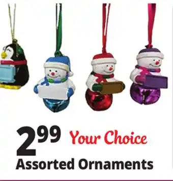 Ocean State Job Lot Assorted Ornaments offer