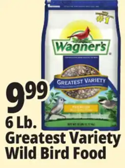 Ocean State Job Lot Wagner's Greatest Variety Deluxe Wild Bird Food 6 lbs offer