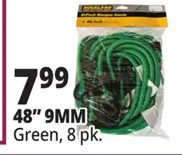 Ocean State Job Lot 48 9MM Green, 8 pk offer