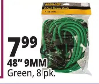 Ocean State Job Lot 48 9MM Green, 8 pk offer