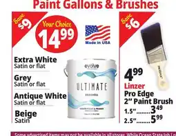 Ocean State Job Lot Paint Gallons & Brushes offer