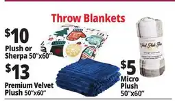 Ocean State Job Lot Throw Blankets offer