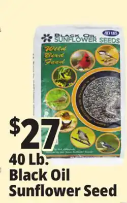 Ocean State Job Lot Black Oil Sunflower Seeds 40 lbs offer