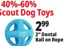 Ocean State Job Lot 2 Dental Ball on Rope offer