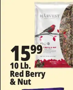 Ocean State Job Lot Harvest Seed & Supply Red Berry & Nut Wild Bird Food 10 lb offer