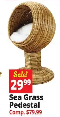 Ocean State Job Lot Sea Grass Pedestal offer