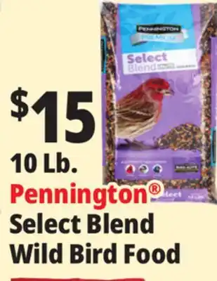 Ocean State Job Lot Pennington Premium Select Blend Bird Seed 10 lb offer