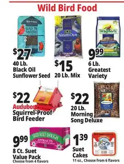 Ocean State Job Lot Wild Bird Food offer