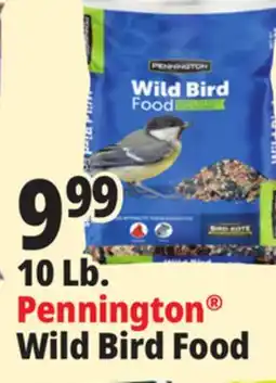 Ocean State Job Lot Pennington Wild Bird Food 10 lbs offer