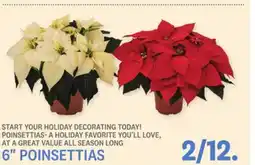 Kings Food Markets 6 POINSETTIAS offer