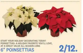 Kings Food Markets 6 POINSETTIAS offer