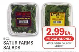 Kings Food Markets SATUR FARMS SALADS offer