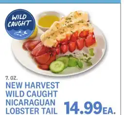 Kings Food Markets NEW HARVEST WILD CAUGHT NICARAGUAN LOBSTER TAIL offer