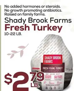 DeCicco & Sons Shady Brook Farms Fresh Turkey offer