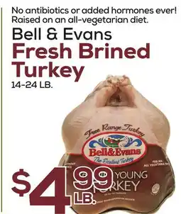 DeCicco & Sons Bell & Evans Fresh Brined Turkey offer