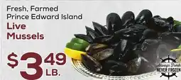 DeCicco & Sons Live Mussels offer