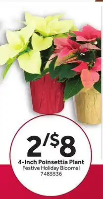 Stop&Shop 4-Inch Poinsettia Plant offer
