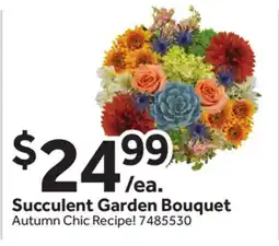 Stop&Shop Succulent Garden Bouquet offer