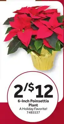 Stop&Shop 6-Inch Poinsettia Plant offer