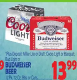 Bravo Supermarkets BUDWEISER BEER offer