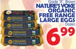 Bravo Supermarkets NATURE'S YOKE ORGANIC FREE RANGE LARGE EGGS offer
