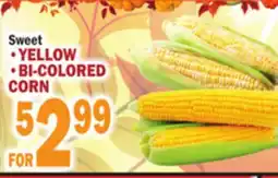 Bravo Supermarkets • YELLOW • BI-COLORED CORN offer