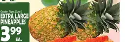 Bravo Supermarkets EXTRA LARGE PINEAPPLES offer