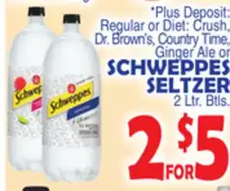 Bravo Supermarkets SCHWEPPES SELTZER offer