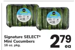 ACME Signature SELECT Mini Cucumbers offer