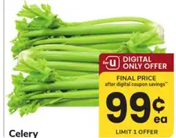 ACME Celery offer