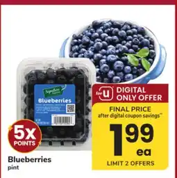 ACME Blueberries offer