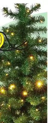 Meijer December Home Lifelike Dual Lit Tacoma Pre-Lit Trees offer