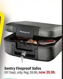 Meijer Sentry Fireproof Safes offer
