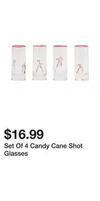 TJ Maxx Set Of 4 Candy Cane Shot Glasses offer
