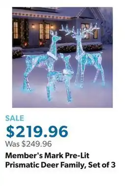 Sam's Club Member's Mark Pre-Lit Prismatic Deer Family, Set of 3 offer