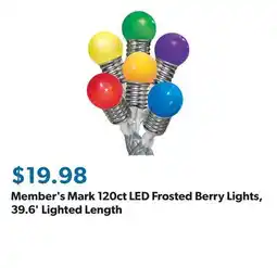 Sam's Club Member's Mark 120ct LED Frosted Berry Lights, 39.6' Lighted Length offer