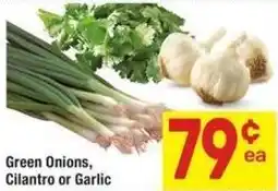 Albertsons Green Onions and Cilantro or Garlic offer