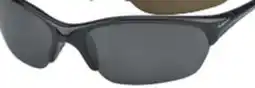 Big 5 Nike Skylon Exp 2 Polarized Sunglasses offer